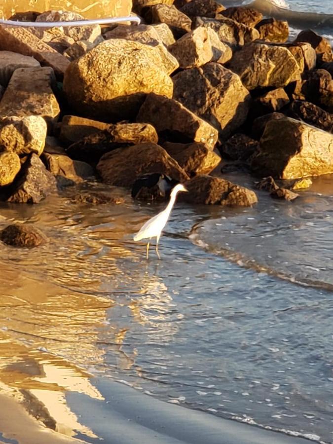 Apartamento PÉS NA AREIA Santos  Esterno foto